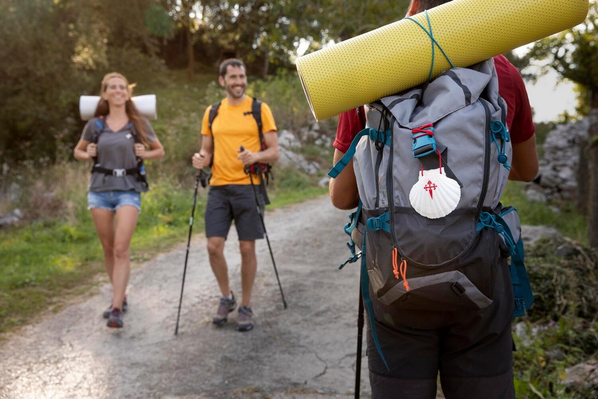 Essential Gear and Tips for Beginners in Hiking