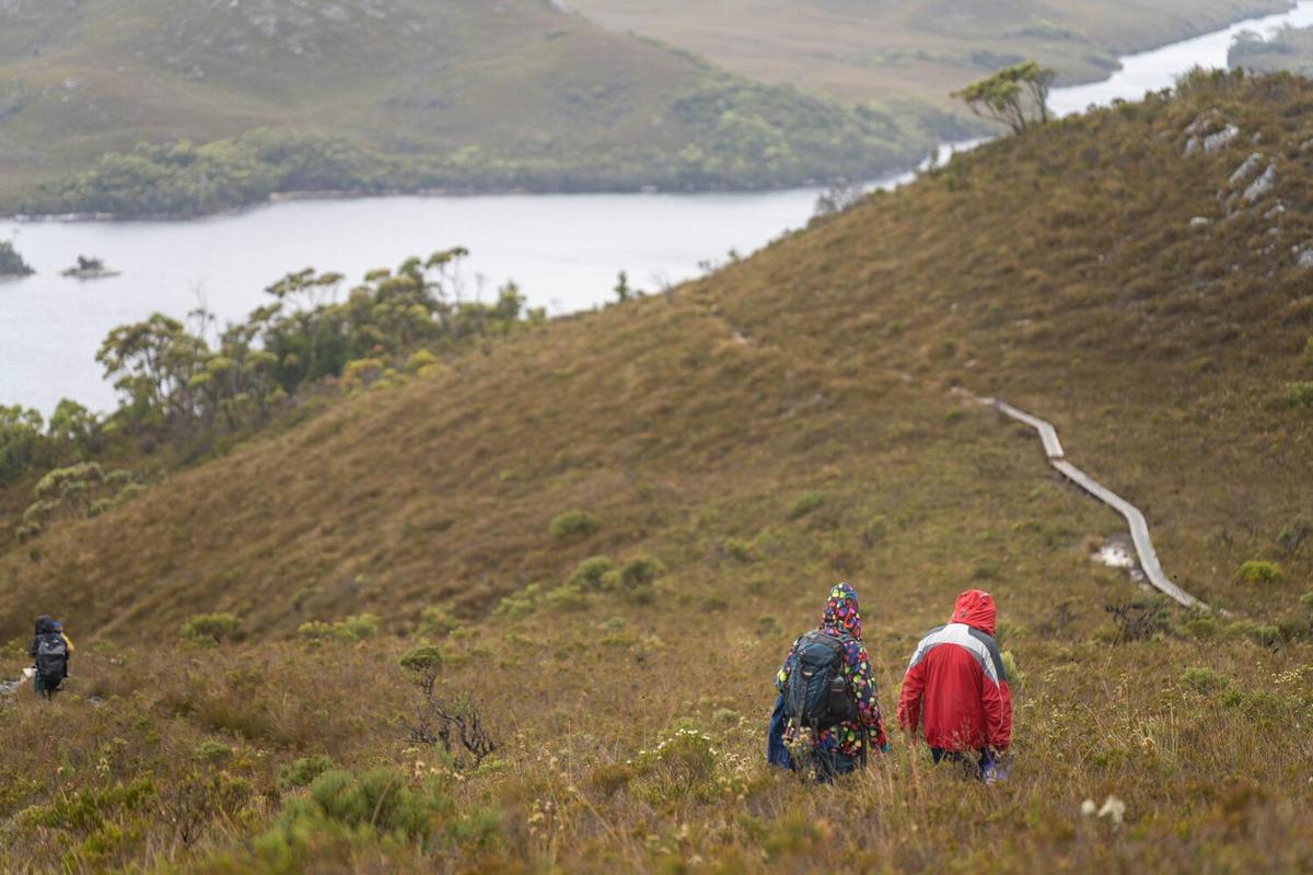 Best Hiking Destinations in New Zealand